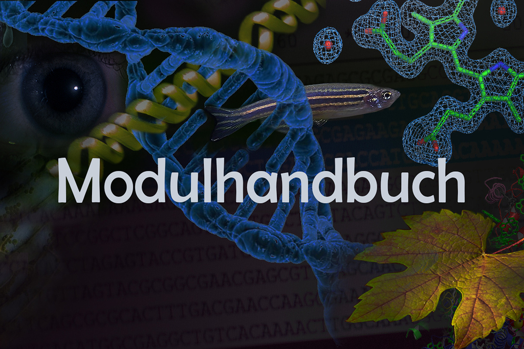 Modulhandbuch